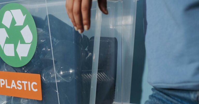 Innovative Indoor Gardens: Transform Your Living Space with Vertical Farming