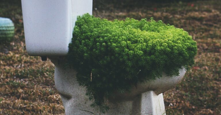 Revolutionäre Wohnideen: Wie Recycling-Materialien Ihr Zuhause transformieren