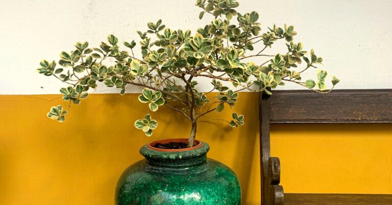 Kapillar-Keramikmöbel: Selbstbewässernde Sitzbänke und Kopfteil-Wände, die Raumklima, Akustik und Alltag verbessern