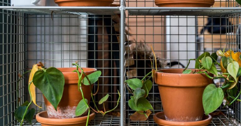 Terrakotta, die kühlt: Poröse Regale und Raumteiler als stromlose Klimageräte (DIY, Daten & Design)